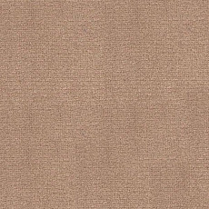 Ковролин Radici Abetone Daino 4984 фото 1 | FLOORDEALER